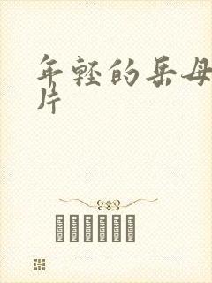 年轻的岳母理论片