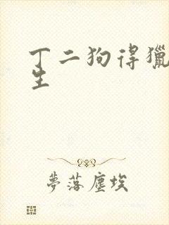 丁二狗得猎艳人生封面