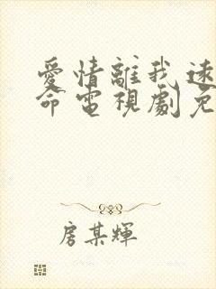 爱情离我远得要命电视剧免费观看