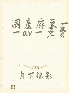 国产麻豆一精品一av一免费观看