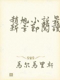 赵旭小说最新更新章节阅读免费