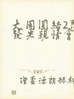 大团圆结2闪闪发光亲情会封面