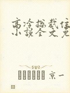 高冷总裁住隔壁小说全文免费阅读