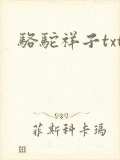 骆驼祥子txt封面