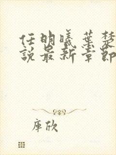 任明曦叶楚木小说最新章节阅读地址