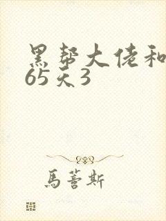 黑帮大佬和我365天3