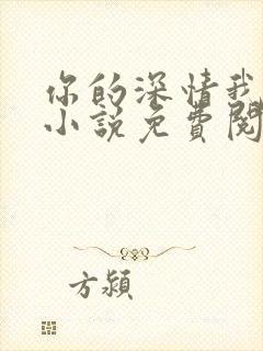 你的深情我不配小说免费阅读