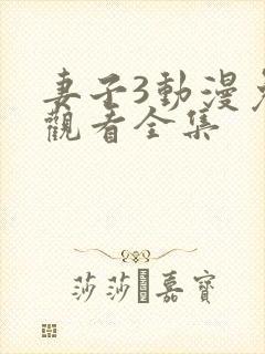 妻子3动漫免费观看全集封面