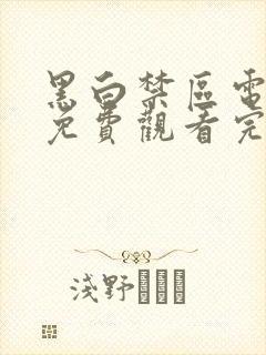 黑白禁区电视剧免费观看完整版高清