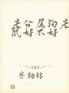 老公属狗老婆属鼠好不好