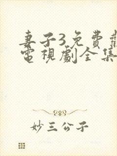 妻子3免费观看电视剧全集