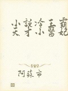 小说冷王霸爱,天才小医妃