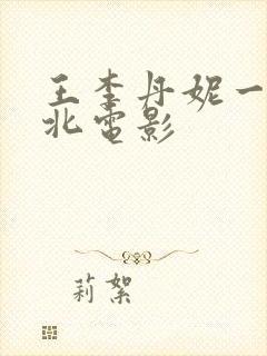 王李丹妮一路向北电影