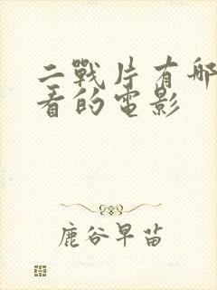 二战片有哪些好看的电影封面