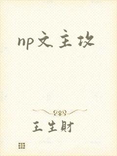 np文主攻