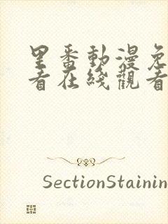 里番动漫免费观看在线观看第一季