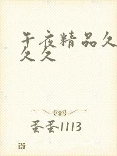 午夜精品久久久久久