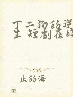 丁二狗的逆袭人生 短剧在线观看封面