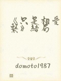 《只是相爱的关系》结局