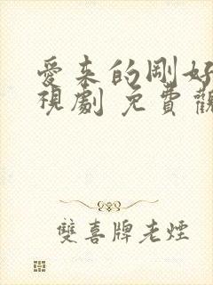 爱来的刚好 电视剧 免费观看