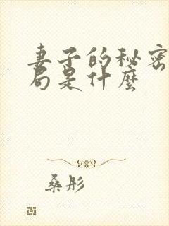 妻子的秘密大结局是什么