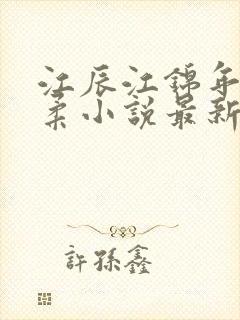 江辰江锦年苏婉柔小说最新章节更新情况