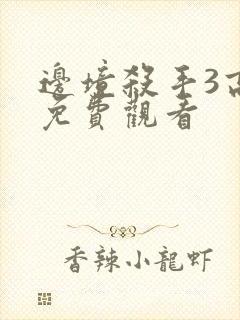 边境杀手3高清免费观看封面