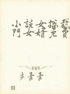 小说女总裁的上门女婿免费下载