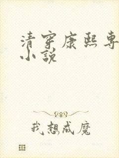 清穿康熙专宠的小说