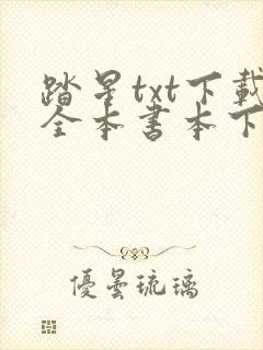 踏星txt下载全本书本下载