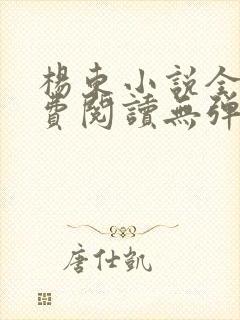 杨东小说全文免费阅读无弹窗