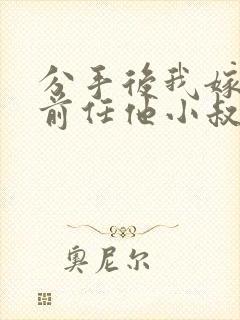 分手后我嫁给了前任他小叔sp