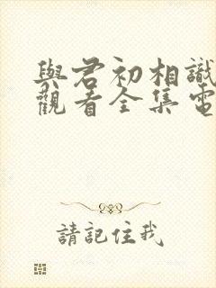 与君初相识免费观看全集电视剧