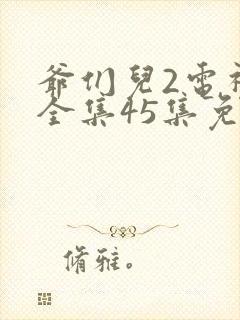 爷们儿2电视剧全集45集免费观看封面