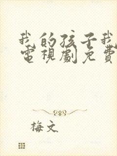 我的孩子我的家电视剧免费观看全集封面