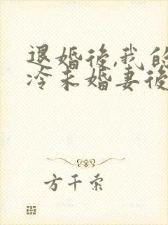退婚后,我的高冷未婚妻后悔了传封面