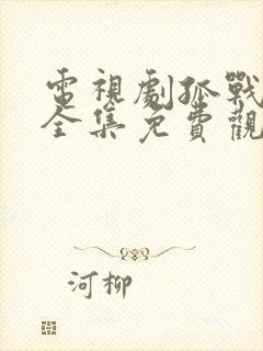 电视剧孤战迷城全集免费观看高清