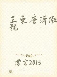 王东唐潇傲世潜龙