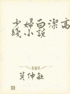 少妇白洁高义在线小说