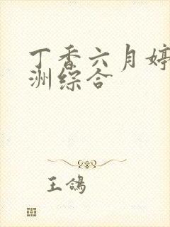 丁香六月婷婷亚洲综合