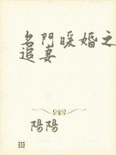 名门暖婚之权爷追妻封面