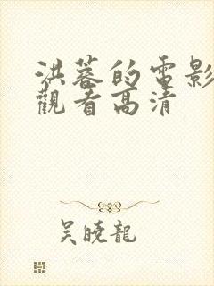 洪蓉的电影免费观看高清