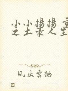 小小扬扬 重生之土豪人生