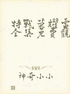 特战荣耀电视剧全集免费观看完整版