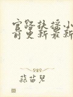 官路扶摇小说超前更新最新章节