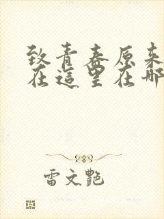 致青春原来你还在这里在哪个平台