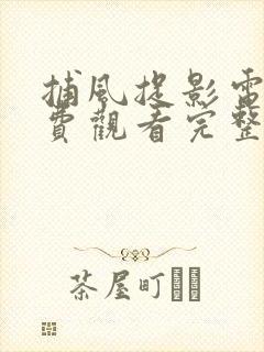 捕风捉影电影免费观看完整国语高清