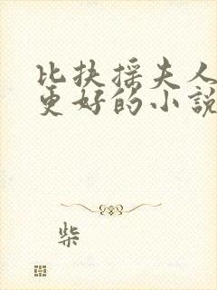 比扶摇夫人写得更好的小说封面