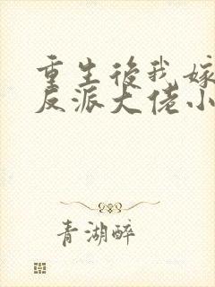 重生后我嫁给了反派大佬小说