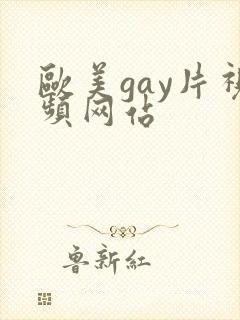 欧美gay片视频网站